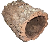 Korkröhre 40 cm / Durchmesser 15 - 20 cm -